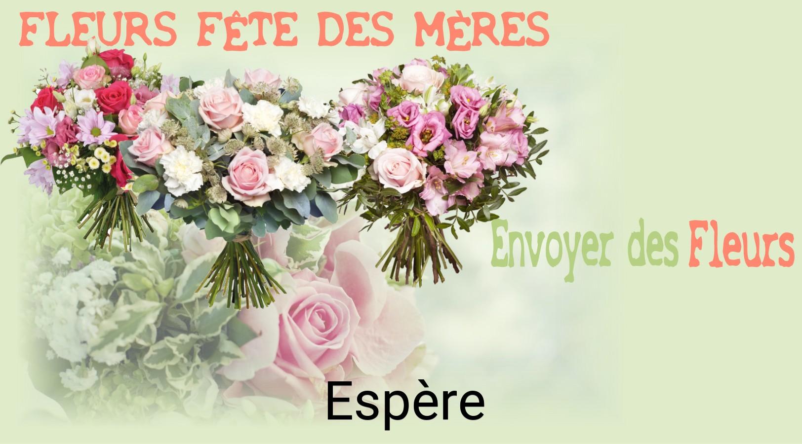 Bouquet de Fête des Mères livré à Espère